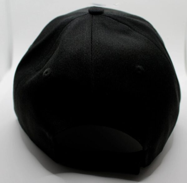 vietnam war veteran hat